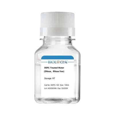 Nước được xử lý DEPC (DNase, RNase không có), 100ml/500ml