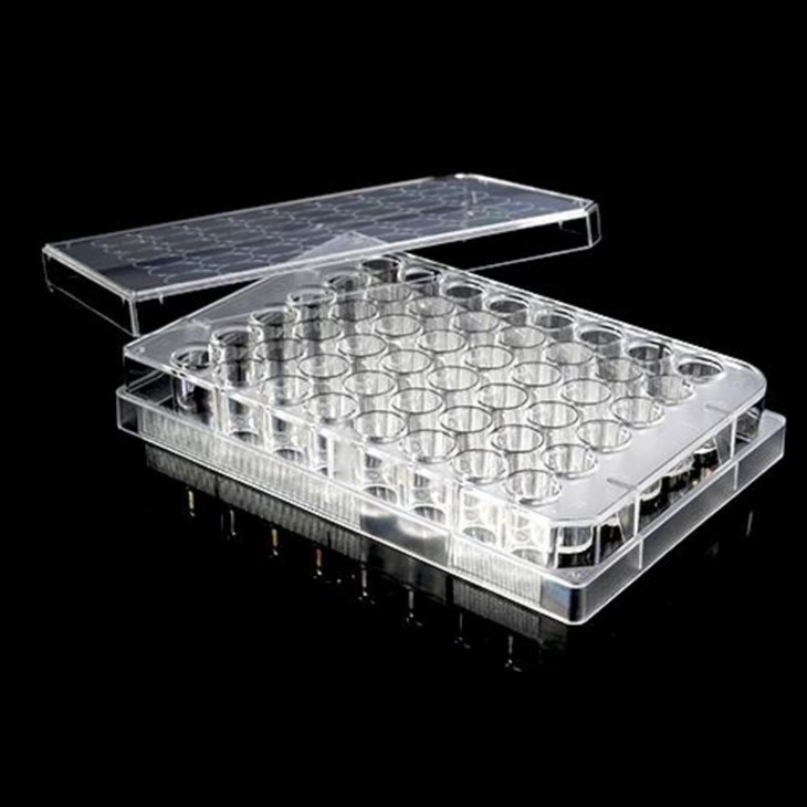 TC Treated 6/12/24/48/96-Well Cell Culture Plates