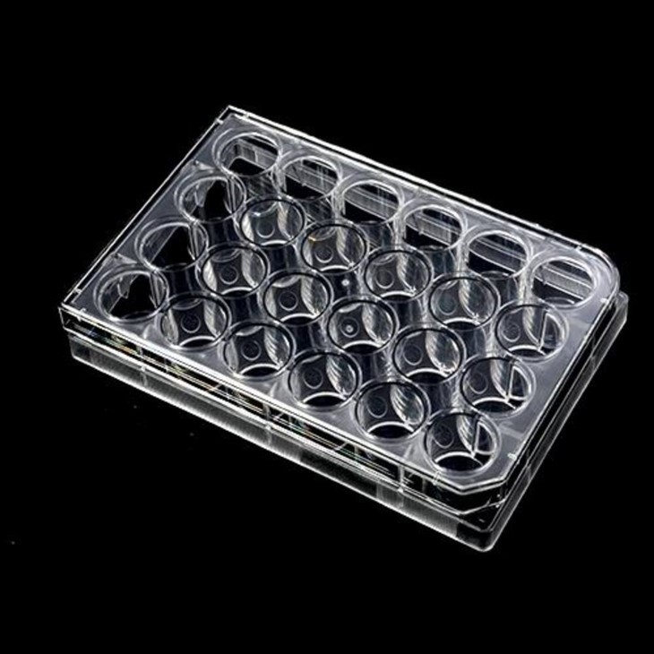 TC Treated 6/12/24/48/96-Well Cell Culture Plates