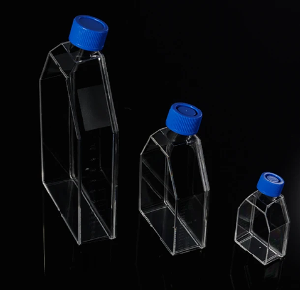 Cell Culture Flasks