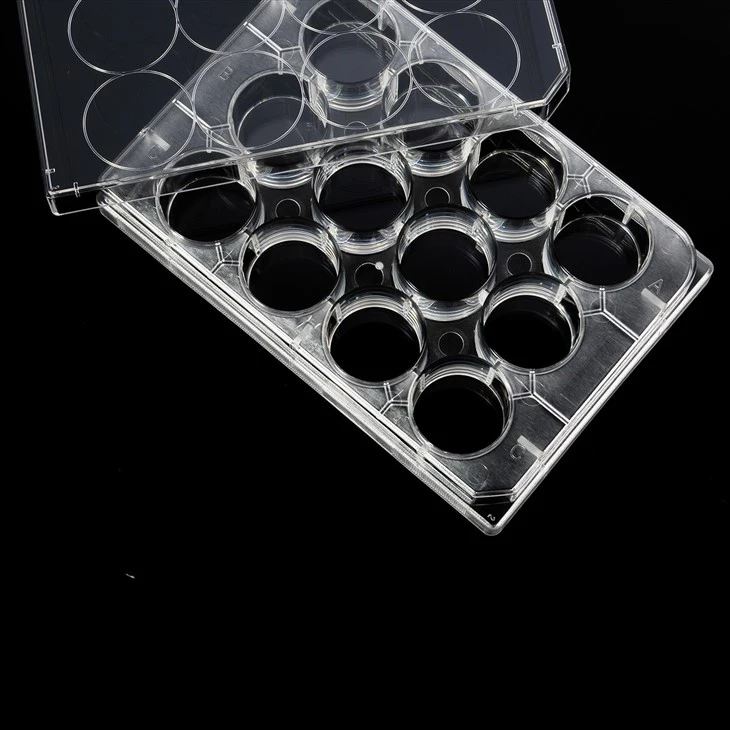 China Supplier 6/12/24/48/96 Wells Cell Culture Plates