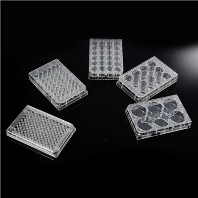 12/6/24/36/48/96-Đĩa nuôi cấy tế bào được xử lý TC tốt