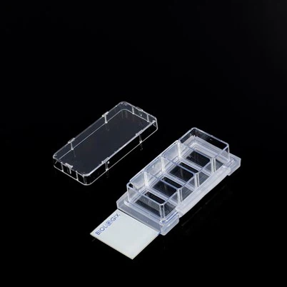 Slide nuôi cấy tế bào buồng 4 giếng